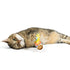Huxley & Kent Fuzzy Soft Seltzer Cat Toy - Poudre Pet & Feed Supply 3